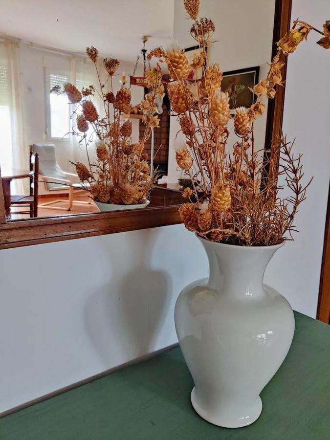 Apartamento Rural El Vidre Vt-42035-Cs Вистабелья-дель-Маэстрасго Экстерьер фото